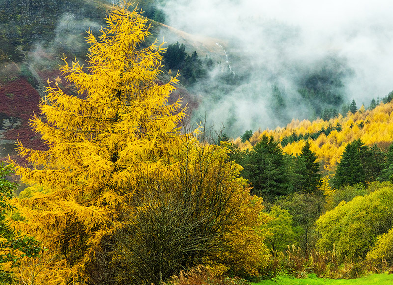 048 Autumn in the Rhondda